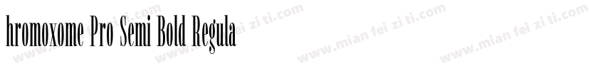 hromoxome Pro Semi Bold Regular字体转换
